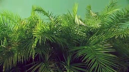무주출장안마 {Ø1Øx2703x7745}【카톡VVV75】무주출장샵'예약'무주출장마사지 무주여대생출장 무주여고생출장 무주콜걸샵