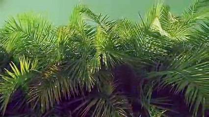 담양출장안마 {Ø1Øx2703x7745}【카톡VVV75】담양출장샵'예약'담양출장마사지 담양여대생출장 담양여고생출장 담양콜걸샵