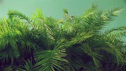 보성출장안마 {Ø1Øx2703x7745}【카톡VVV75】보성출장샵'예약'보성출장마사지 보성여대생출장 보성여고생출장 보성콜걸샵