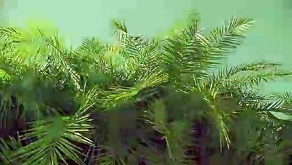 함평출장안마 {Ø1Øx2703x7745}【카톡VVV75】함평출장샵'예약'함평출장마사지 함평여대생출장 함평여고생출장 함평콜걸샵