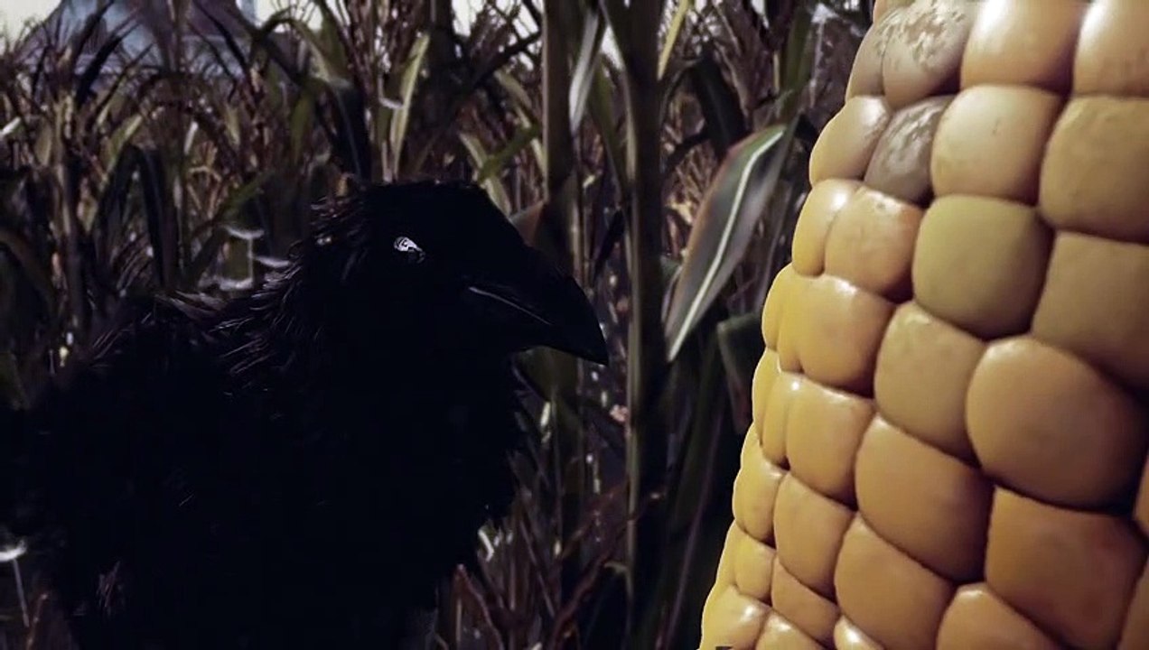 Maize - Anuncio