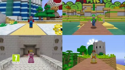 Minecraft: Wii U Edition - Super Mario Mash-Up Pack