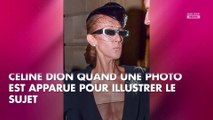 Céline Dion très amaigrie : les chroniqueurs de TPMP choqués réagissent