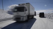 Kar Yağışı ve Tipi Nedeniyle Kapanan Yollar Ulaşıma Açıldı