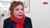 Esther Benbassa (EELV) : « Qu’on n’instrumentalise pas l’antisémitisme pour taper sur les gilets jaunes »