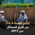 شاهد في دقيقة.. 8 معلومات عن معدلات البطالة في مصر بعد انخفاضها