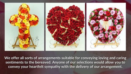 Your Emotions, Our Designs - Flowers & Sympathy