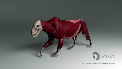 CGI teknolojisiyle yapılmış aslanın hareketleri