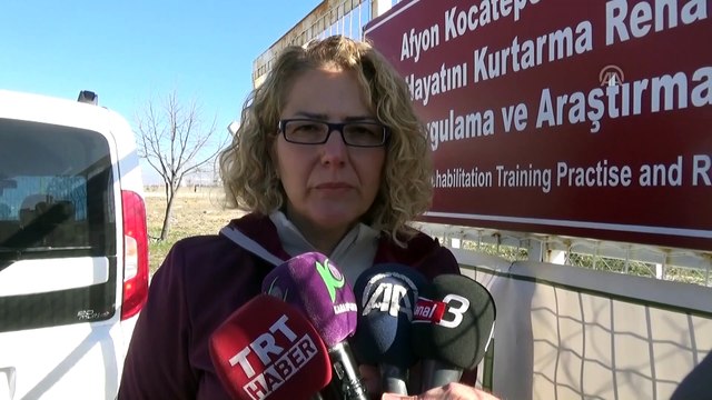 Tedavileri tamamlanan geyikler doğal yaşam parkına gönderildi - AFYONKARAHİSAR