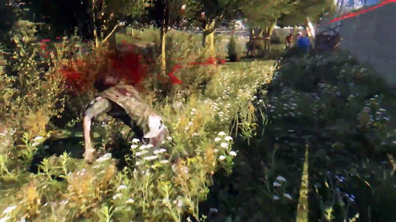 Dying Light - Enhanced Edition The Following