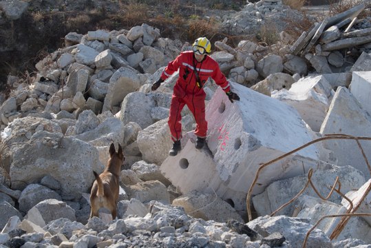 La 40ème compagnie : pompiers au-delà des flammes (JDEF)