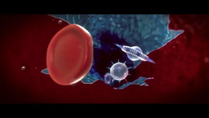 Halo: The Fall of Reach - Tráiler