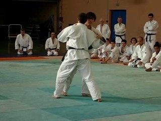 O Uchi Gari