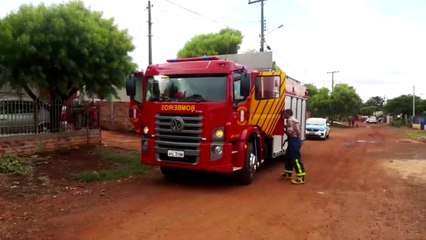 Bombeiros fazem captura de cão no Colina Verde