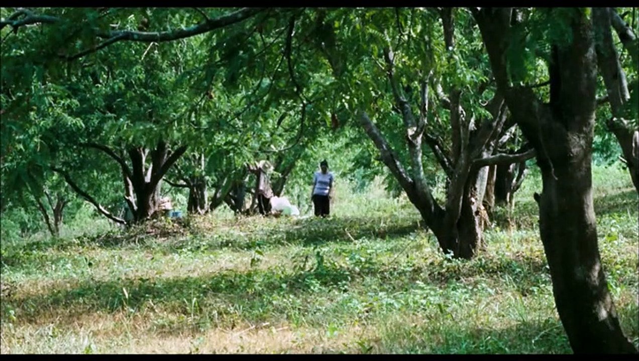 Oncle Boonmee
