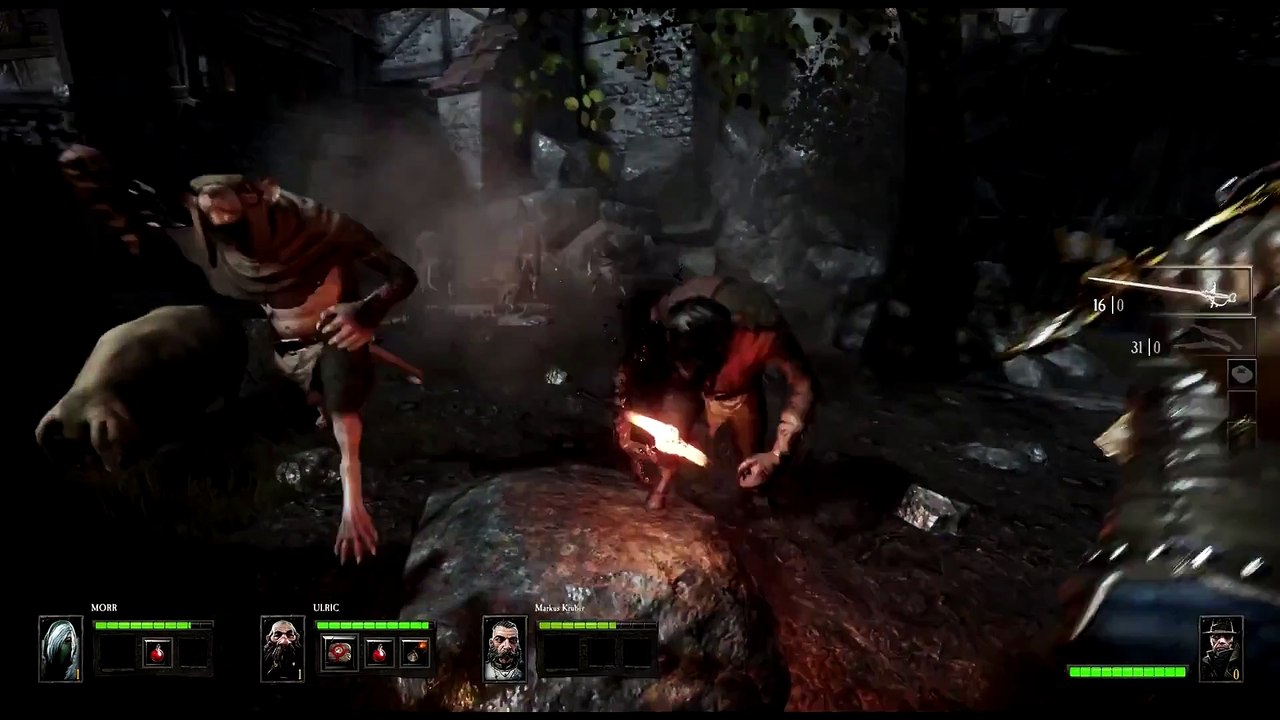 Warhammer: End Times Vermintide - Witch Hunter