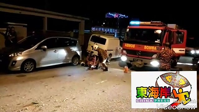 山泥倾泻树木倒塌 树桐冲破房屋围墙