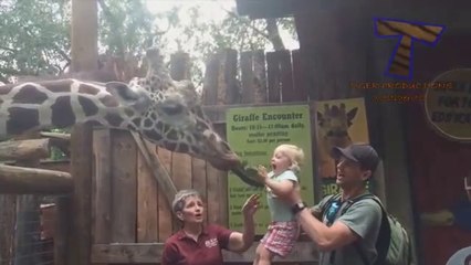 FORGET CATS! Funny KIDS vs ZOO ANIMALS are WAY FUNNIER! - TRY NOT TO LAUGH