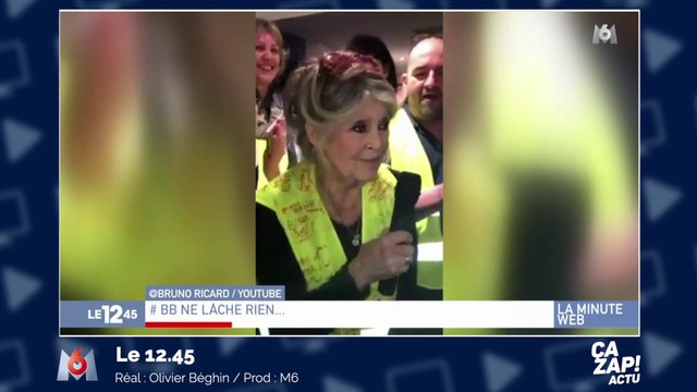 Ne lâchez rien ! : la visite surprise de Brigitte Bardot aux gilets jaunes