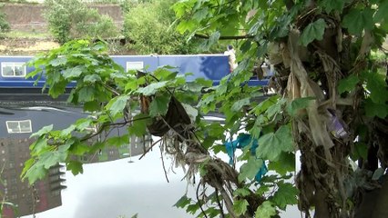 GOODLINES: 20th February 2019