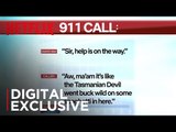 Paradise PD 911 Call: Dong In The Sink Hole | Netflix