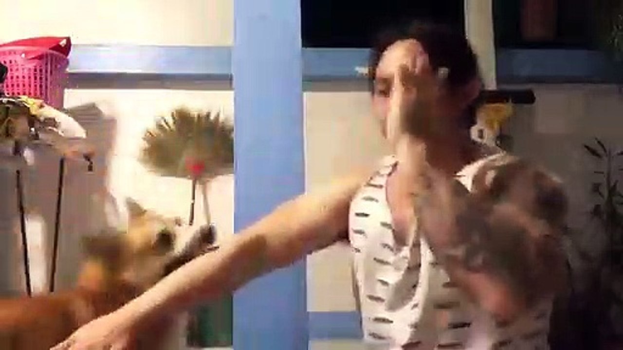 Entraînement de Kung Fu avec son chien !