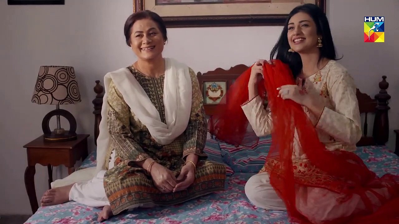 Mere Humdam epi 04 HUM TV Drama 19 February 2019