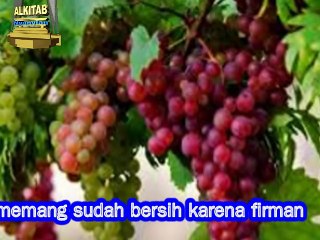 Yesus  Pokok  Anggur, Alkitab Nyanyian, Walter Padoma, Wp Production