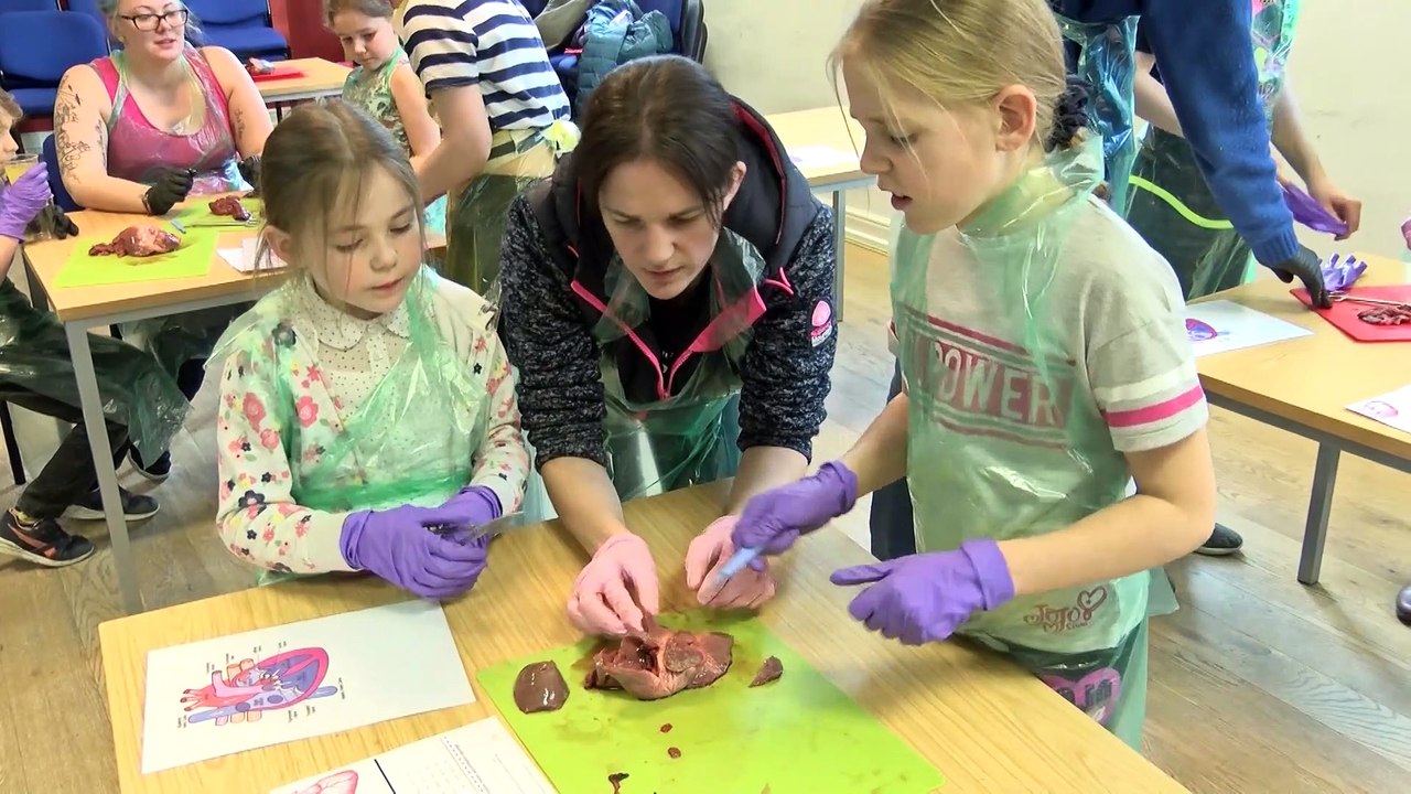 Heart dissection workshop!!