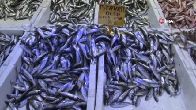 Hamsi Gürcistan'a Gitti Tezgahları İstavrit Doldurdu