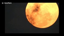 Enchanting 'super snow moon' filmed in skies over south India