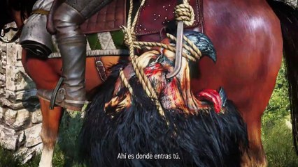 The Witcher 3: Wild Hunt - Posibilidades