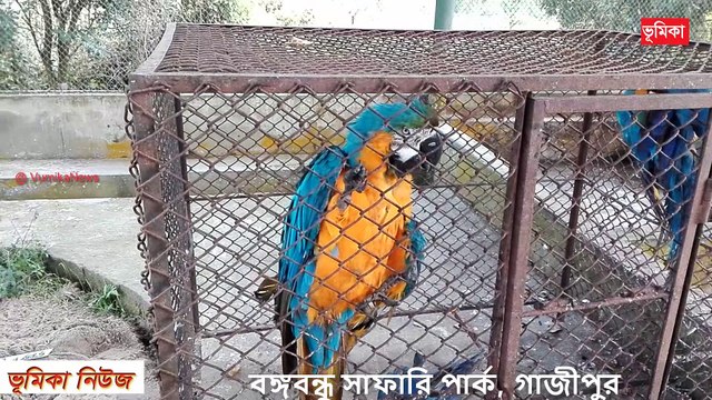 বঙ্গবন্ধু সাফারি পার্ক গাজীপুর Bongobondhu safari park Gazipur in Bangladesh Bongobondhu park