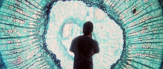 HTC Re Vive - Presentación