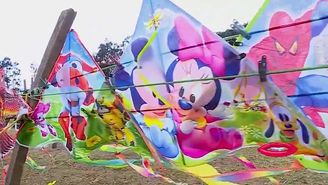 dbb-gallina-preparacion-tcms-190219