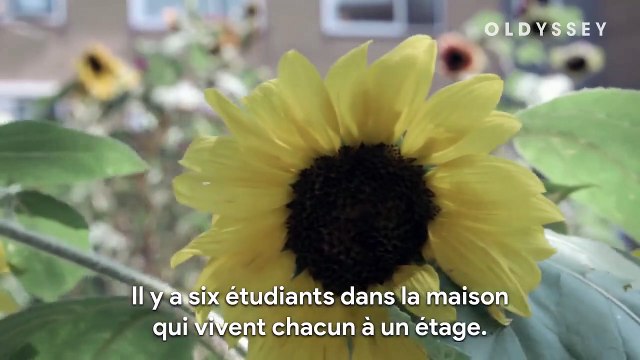 Des étudiants en maison de retraite