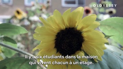 Des étudiants en maison de retraite