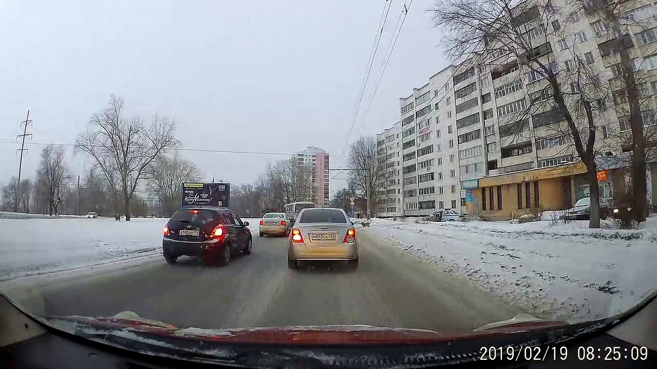 Cute Canine Gets Some Help Crossing