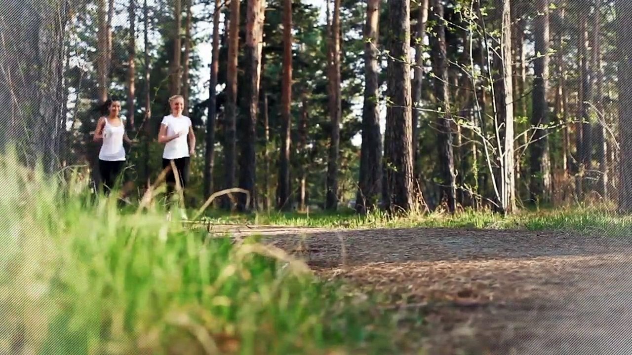 A louer - Appartement - COURBEVOIE (92400) - 3 pièces - 71m²