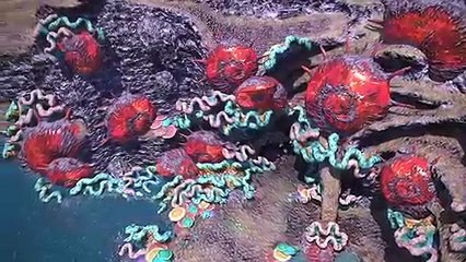 Final Fantasy XIV: A Realm Reborn - Tráiler de lanzamiento