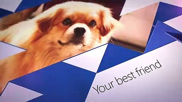 OneDrive - Nuevo nombre
