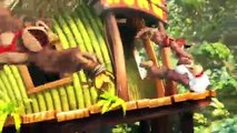 Donkey Kong Country: Tropical Freeze - Características