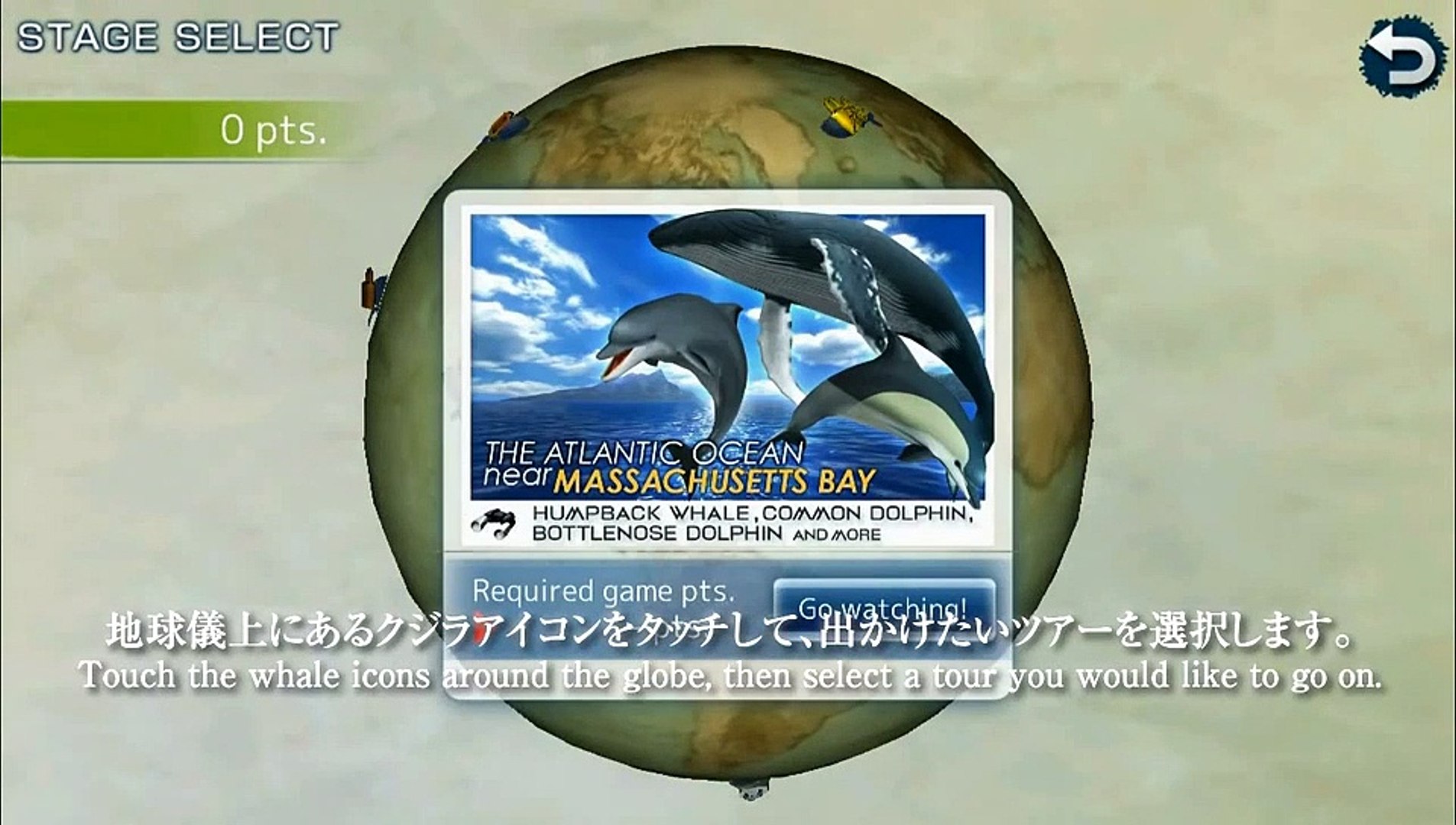 ⁣Real Whales - Lanzamiento