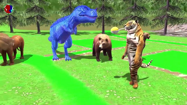 Forest Animals Names And Sounds For Kids || Animals Funny Game For Toddlers ## lion tiger cheetah gorilla