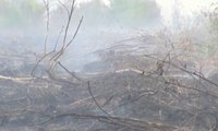 Pemkot Dumai Tetapkan Status Siaga Darurat Kebakaran Hutan dan Lahan