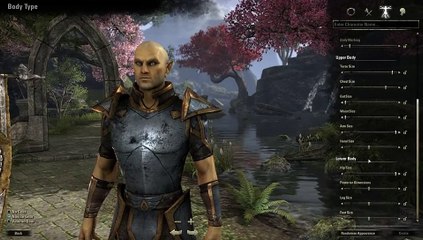 Télécharger la video: The Elder Scrolls Online - Creador de personajes