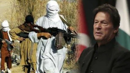 Pakistan के आतंकवाद का पनाहगार बनने के पीछे ये है असली वजह, इसलिए बढ़े आतंकी हमले | वनइंडिया हिंदी