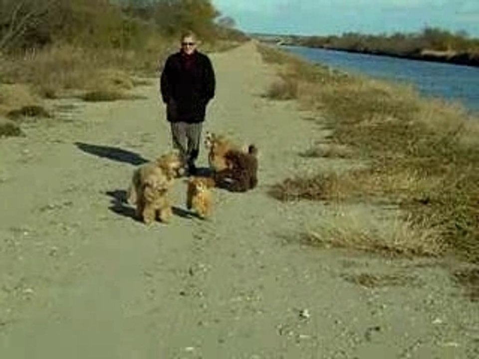 DSCN0210