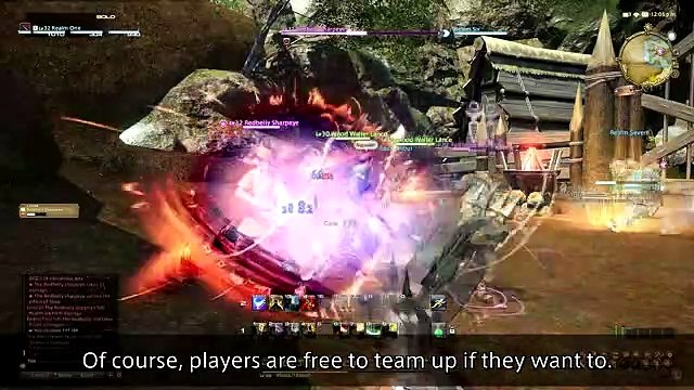 Final Fantasy XIV: A Realm Reborn - Interacciones