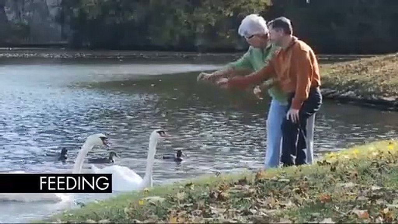 Tetris Blitz - Lanzamiento